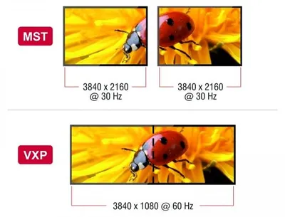 Image de DELOCK USB Type-C Splitter > 2x DisplayPort MST/VXP