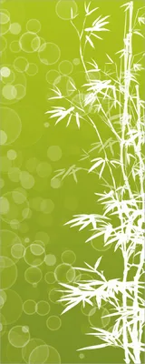Produktbild von Wallario Poster - Bambusmuster grün-weiß, Kunstdruck Größe: 50 x 125 cm