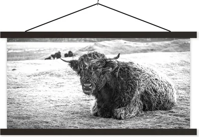 Produktbild von MuchoWow® Textilposter Schottisches Hochlandrind - Berg - Tiere 90x45 cm mit schwarzem Rahmen - Klemmleisten