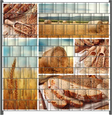 Produktbild von Wallario Zaunsichtschutz mit Motiv Weizen und Mehl  Vom Korn zum Brot für Ein- und Doppelstabmatten Zäune in der Größe 200 x 200 cm