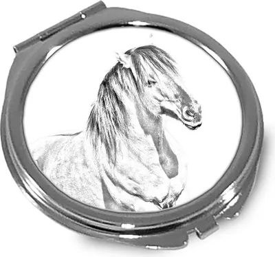 Productafbeelding van Paard Henson spiegel met paard Art-Dog