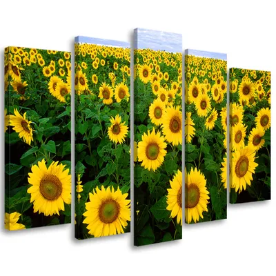 Produktbild von 5-teiliges leinwandbild sonnenblumen wiese 150x100 cm Feeby gelb wandbild bereit zum aufhängen