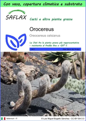 Immagine prodotto di SAFLAX Garden to go - Orocereus - 40 semi - Oreocereus