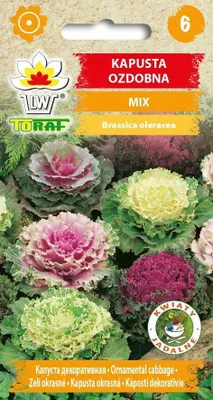 Zdjęcie produktu dla Kapusta ozdobna MIX mieszanka Nasiona kwiatów - 534 Toraf