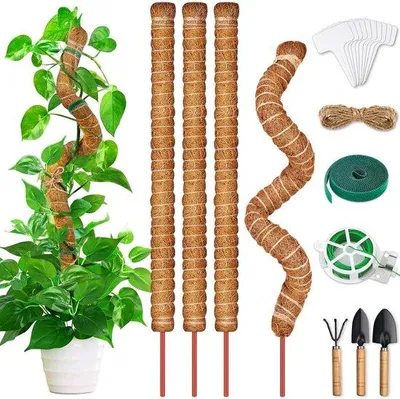 Produktbild von Famanu Pflanzenstütze 4 Stück - 64 cm, flexible Kokosstäbe für Monstera und andere Kletterpflanzen
