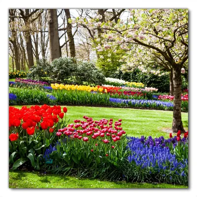 Produktbild von Wallario selbstklebende Möbelfolie/ Tischdecke für Innen und Außen, Größe: 60 x 60 cm - Bunte Blumen und Kirsch-Baum im Park blühen im Frühling