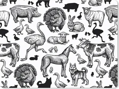 Produktbild von MuchoWow® Mauspad Mousepad Muster - Tiere - Schwarz und weiß 40x30 cm - Mousepads - Maus Mat - Pad - Mausunterlage - Anti Rutsch
