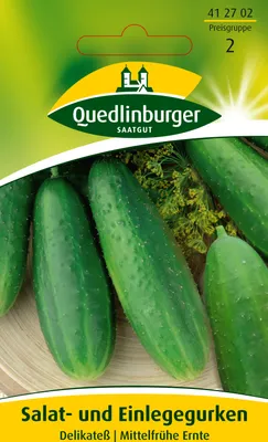 Produktbild von Quedlinburger Saatgut - Salat- und Einlegegurken Delikateß - Samen - 412702