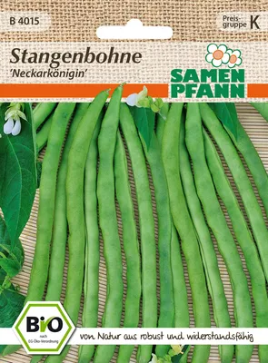 Artikelbild 1 von 'BIO Stangenbohne Neckarkönigin' aus der Kategorie Stangenbohnensamen