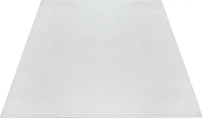 Produktbild von FLOORNOVO Hochflor Teppich Beige einfarbig - 290 x 200 cm - Besonders Weicher Teppich Wohnzimmer & Badezimmerteppich - Pflegeleicht - vielseitig einsetzbar im Innenbereich