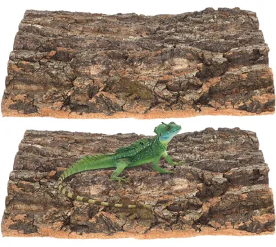 Image de Écorce de liège naturelle pour la décoration de terrariums
