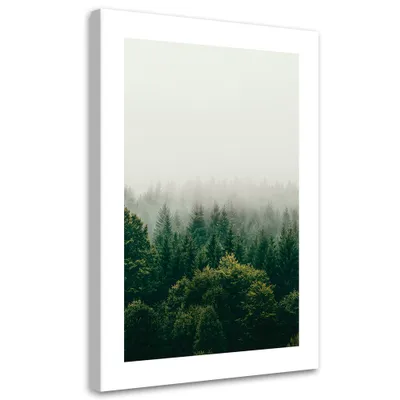 Produktbild von Leinwandbild Grüner Wald im Nebel 40x60 Feeby Grün bild für die wand bereit zum aufhängen