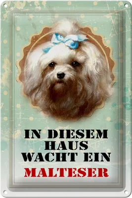 Produktbild von Blechschild Hund 20x30cm in diesem Haus wacht Malteser