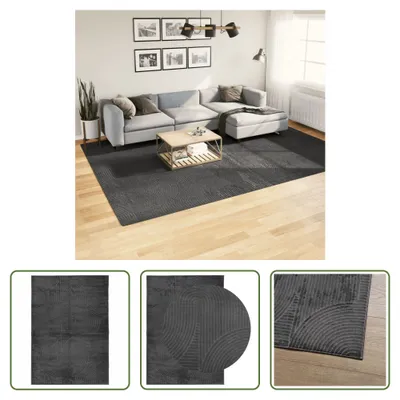 Produktbild von The Living Store Teppich IZA Kurzflor Skandi-Stil Anthrazit 240x340 cm