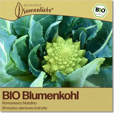 Produktbild von SamenliebeBlumenkohl Samen alte Sorte Romanesco Natalino milder zarter italienischer Blumenkohl grün 200 Samen samenfestes Gemüse Saatgut für Gewächshaus Freiland und BalkonGemüsesamen