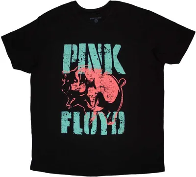 Obrázek produktu pro Pink Floyd - Tričko pro muže/dámy Uni RO11759 (XL) (Černá)