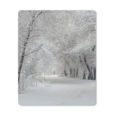 Produktbild von MuchoWow® Mauspad Mousepad Bäume - Schnee - Winter 30x40 cm - Mousepads - Maus Mat - Pad - Mausunterlage - Mausmatten