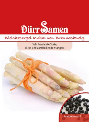 Produktbild von Dürr-Samen - Bleichspargel Ruhm von Braunschweig - Saatgut - 0194