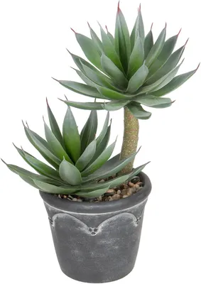 Immagine prodotto di Pianta artificiale succulenta, 33 cm - Nepplant, senza manutenzione, per interni, verde