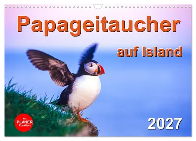 Produktbild von Papageitaucher auf Island (Wandkalender 2027 DIN A3 quer), CALVENDO Monatskalender