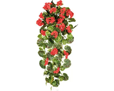 Produktbild von Kunstpflanze Geranienhänger Höhe: 80 cm rot