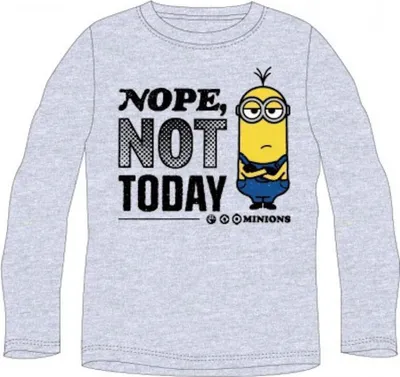 Produktbild von Minions Jungen Langarm-Shirt | "Nope. Not Today" | grau,104