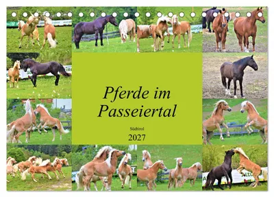Produktbild von Pferde im Passeiertal (Tischkalender 2027 DIN A5 quer), CALVENDO Monatskalender