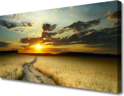 Produktbild von Tulup Leinwand-Bilder 100x50 Wandbild Canvas Kunstdruck Weg Wiese Landschaft