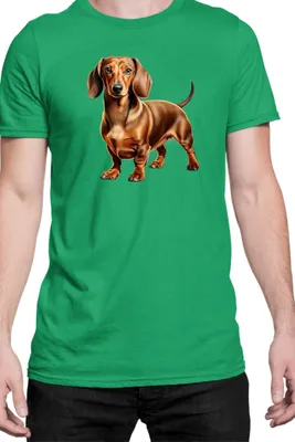 Immagine prodotto di Maglietta da uomo Dogs Breeds Dachshund Dog Breed 008, Man M , Vert