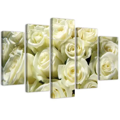 Produktbild von 5-teiliges leinwandbild weiße rosen 100x70 cm Feeby beige wandbild bereit zum aufhängen