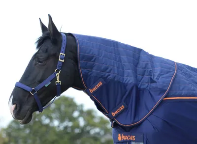 Produktbild von Bucas Halsteil Therapy Magnetfeldhalsteil Navy/Orange XS