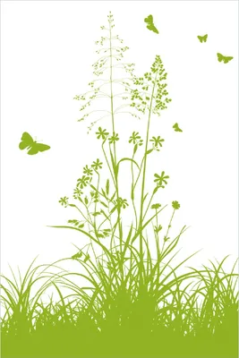Produktbild von Wallario Poster - Grüne Sommerwiese, Kunstdruck Größe: 61 x 91,50 cm