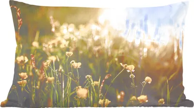 Produktbild von MuchoWow® Zierkissen Sofakissen Wohnzimmer Dekokissen 50x30 cm Nahaufnahme von Blumen bei Sonnenaufgang - Wohnzimmerdekoration - Polster mit Photo