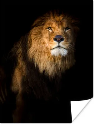 Produktbild von MuchoWow® Poster Löwe - Licht - Schwarz - Porträt 90x120 cm - Wohnzimmer