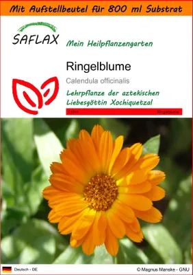 Produktbild von SAFLAX Garden in the bag - Ringelblume - Calendula officinalis - 50 Samen - Mit Anzuchtsubstrat im praktischen, selbst aufstellenden Beutel