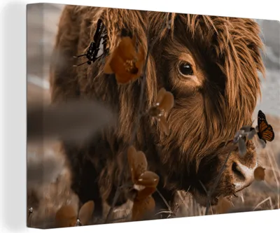 Produktbild von OneMillionCanvasses® - Leinwandbilder - 140x90 cm, Schottische Hochlandrind - Schmetterlinge - Blumen, Wandbilder Wohnzimmer Hochland Rind - Tier Wanddekoration - Hochland Rind - Kuh - Gemälde auf