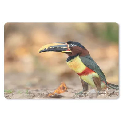 Produktbild von MuchoWow® Mauspad Mousepad Vogel - Tukan - Federn - Natur 27x18 cm - Mousepads - Maus Mat - Pad - Mausunterlage - Büroartikel - Desk Matten