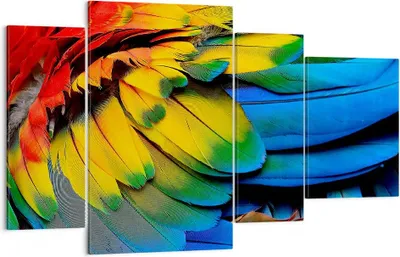 Produktbild von Bild auf Leinwand - Leinwandbild - Feder Papagei Vogel - 120x70cm - Wand Bild - Wanddeko - Leinwanddruck - Bilder - Kunstdruck - Wanddekoration - Leinwand bilder - Wandkunst - DL120x70-3428