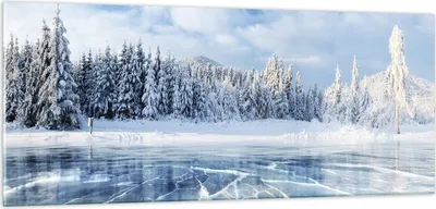 Produktbild von Bilder auf glas - Einteilig - Wald Eis See - 100x40cm - Glasbilder - Wandbilder - Bilder - zum Aufhängen bereit - Wanddekoration aus Glas - Glas Bilder - Wandbild auf Glas - GAB100x40-4181