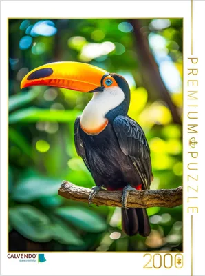 Produktbild von CALVENDO Puzzle RiesenTucan | 2000 Teile Lege-Größe 90x67cm Foto-Puzzle für glückliche Stunden