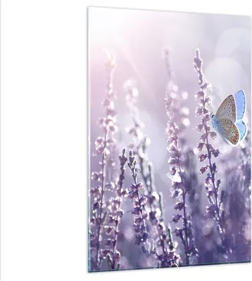 Produktbild von Bilder auf glas - Einteilig - Schmetterling Wiese Blume - 80x120cm - Glasbilder - Wandbilder - Bilder - Wanddekoration aus Glas - Glas Bilder - Wandbild auf Glas - GPA80x120-4014