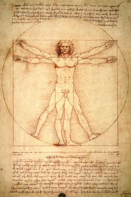 Obrázek produktu pro Leonardo da Vinci Art Print Picture - Vitruvian Man, Circa 1490 (180 x 120 cm)