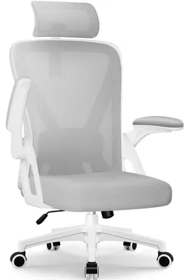 Image de Chaise de bureau ergonomique avec support lombaire et repose-tête – Accoudoirs rabattables