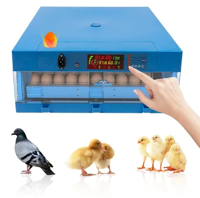 Imagen del producto de Incubadora automática para huevos, con capacidad para 64 huevos, control de temperatura y humedad constantes, ideal para la incubación