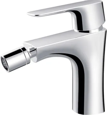 A chrome bidet faucet is shown against a white background.