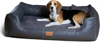 Imagen del producto de Cama ortopédica para perros Silecomplaza modelo Maddox VIP, con revestimiento de velour de cuero sintético, colchón de viscoelástico y base antideslizante para una máxima comodidad. Tamaño: 120x85 cm | Color: 02 Grafito