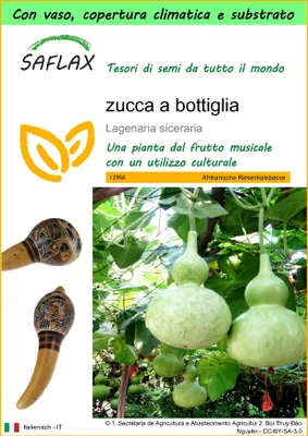 Immagine prodotto di SAFLAX Garden to go - zucca a bottiglia - 15 semi - Lagenaria