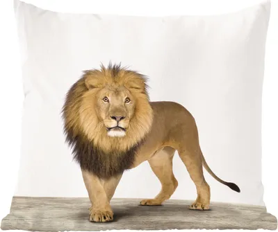 Produktbild von MuchoWow® Zierkissen Sofakissen Wohnzimmer Dekokissen 50x50 cm Tiere - Löwe - Weiß - Komfort - Sofakissen