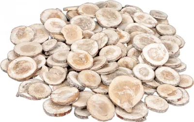 Produktbild von Holzscheiben rund weiß 0,5kg Ø3-6cm
