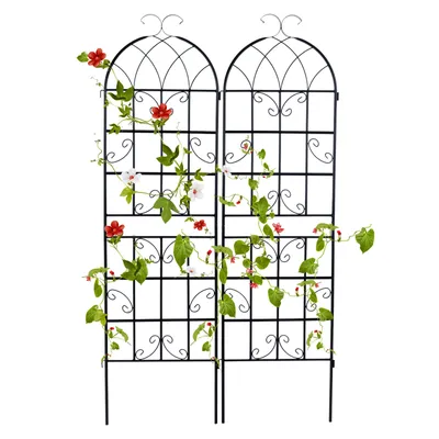 Produktbild von GOPLUS Rankgitter Metall 2er Set, Sichtschutz Garten 180cm hoch, Rosenspalier, Rosengitter, Pflanzengitter, Ranknetz, Rankgitter Balkon, Rankhilfe 180 x 50 cm